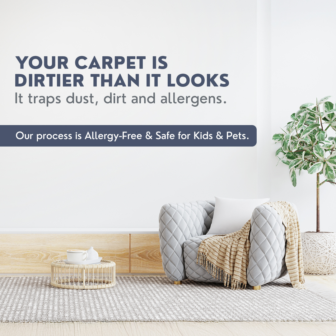 curtains-in
